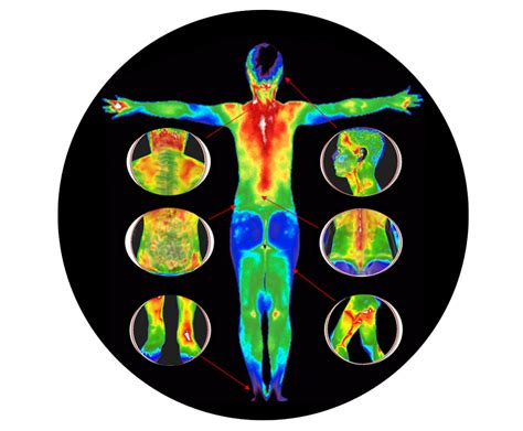 las vegas thermography|Las Vegas Thermography – Las Vegas Thermography .